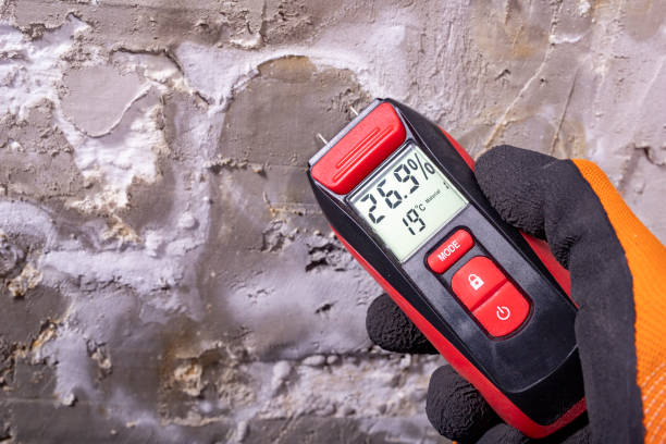 Best Mold Testing  in Barrington, NJ